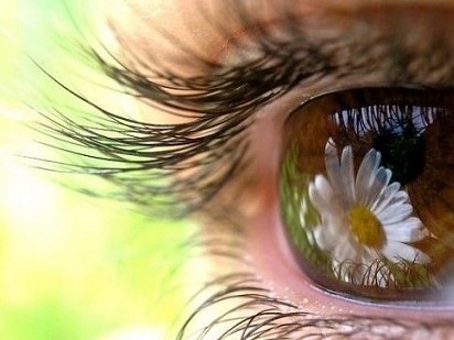 10. В светёлке глаз