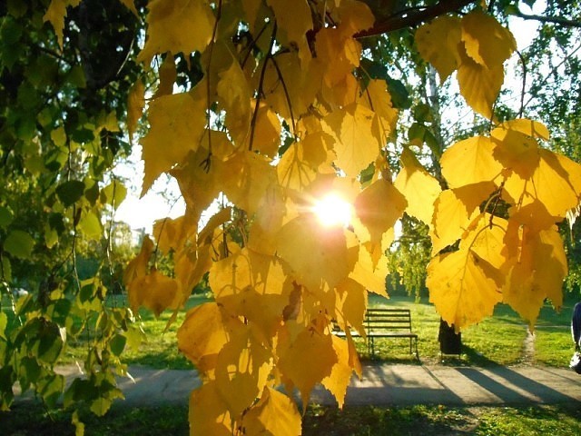 Последние рубахи - не залатать, посля!