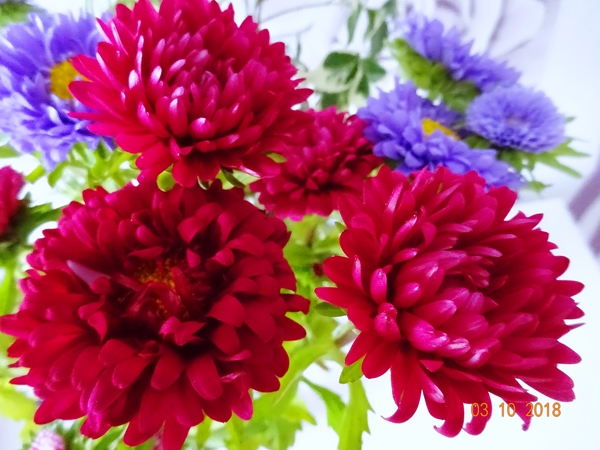 Истиной святые!