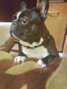 Не шуточный стих