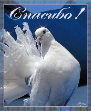 Лавры - то, многих - рублёвый запас!