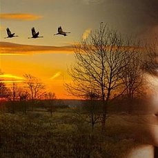 Они - вернутся...