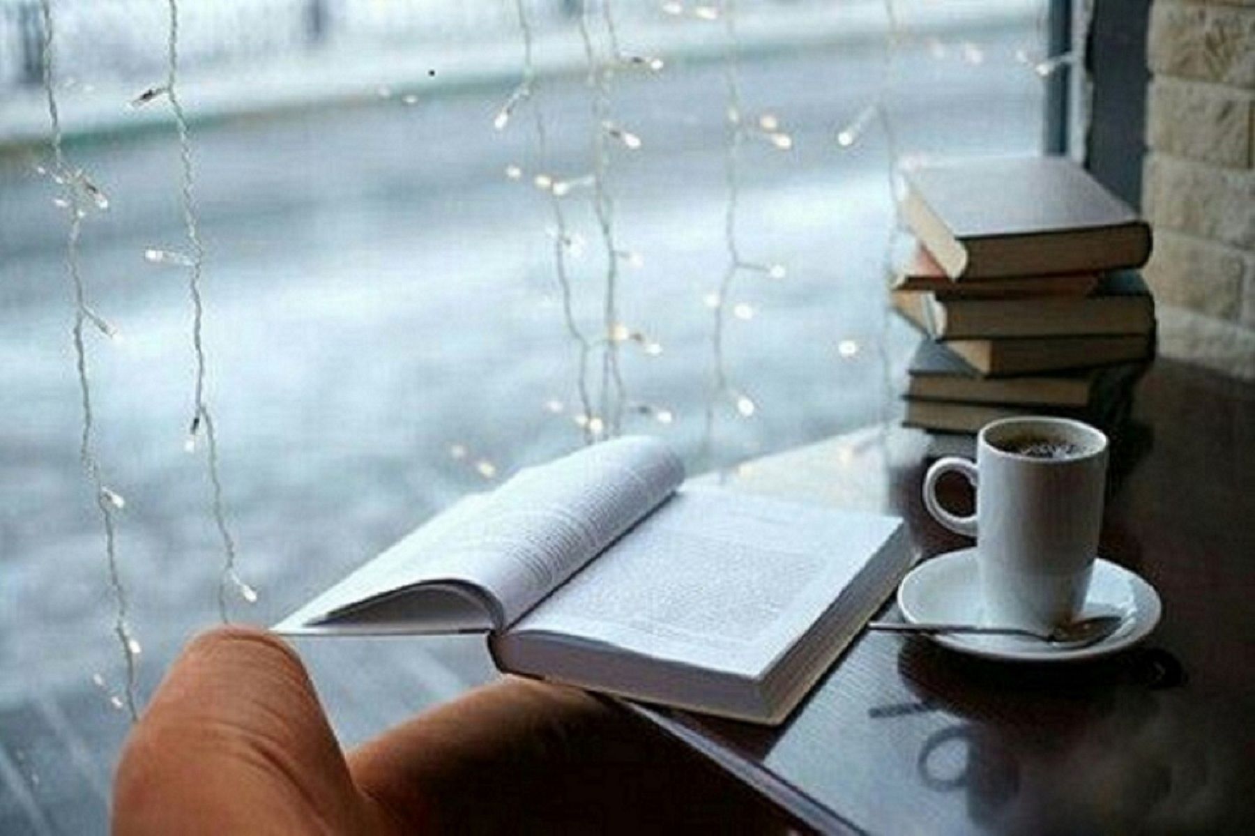 Дождь книга