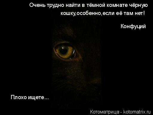 Непроворная... Шалю!