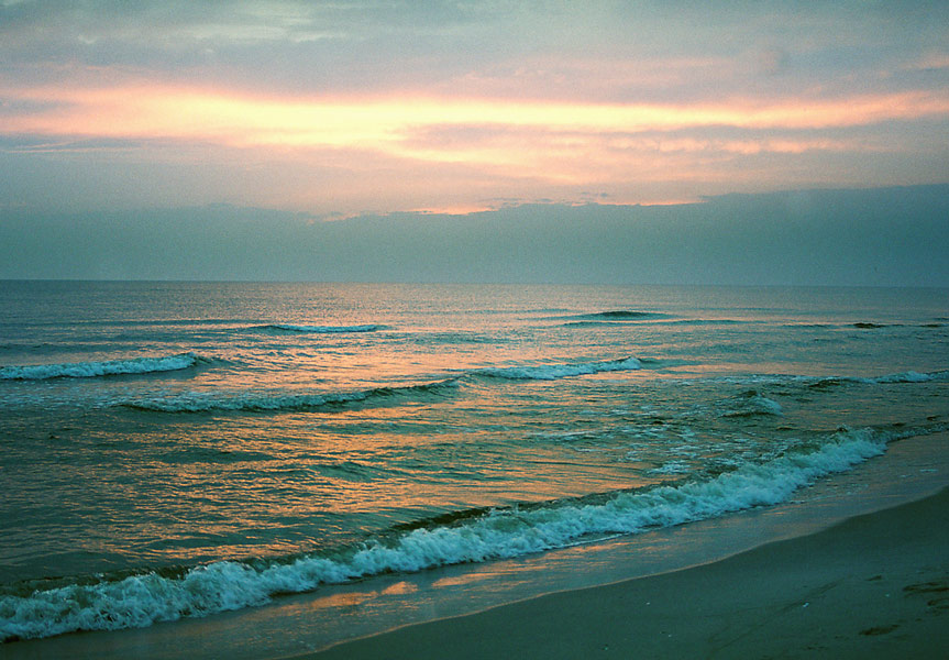 Сказка, рассказанная на ночь