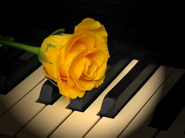 Спой, мой друг