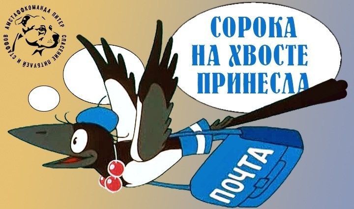 Новость