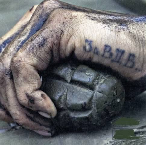 На прикрытии