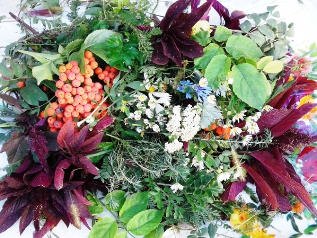 Рассветный этюд