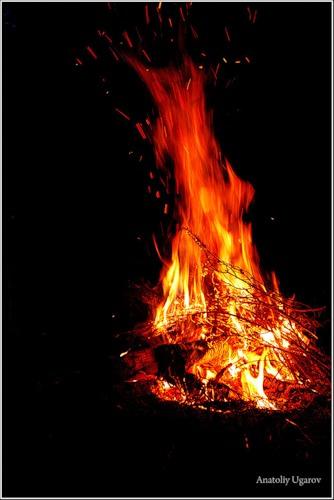 Огонь пожар. Лес горит. Горящий огонь. Огонь. Гигантский пожар.