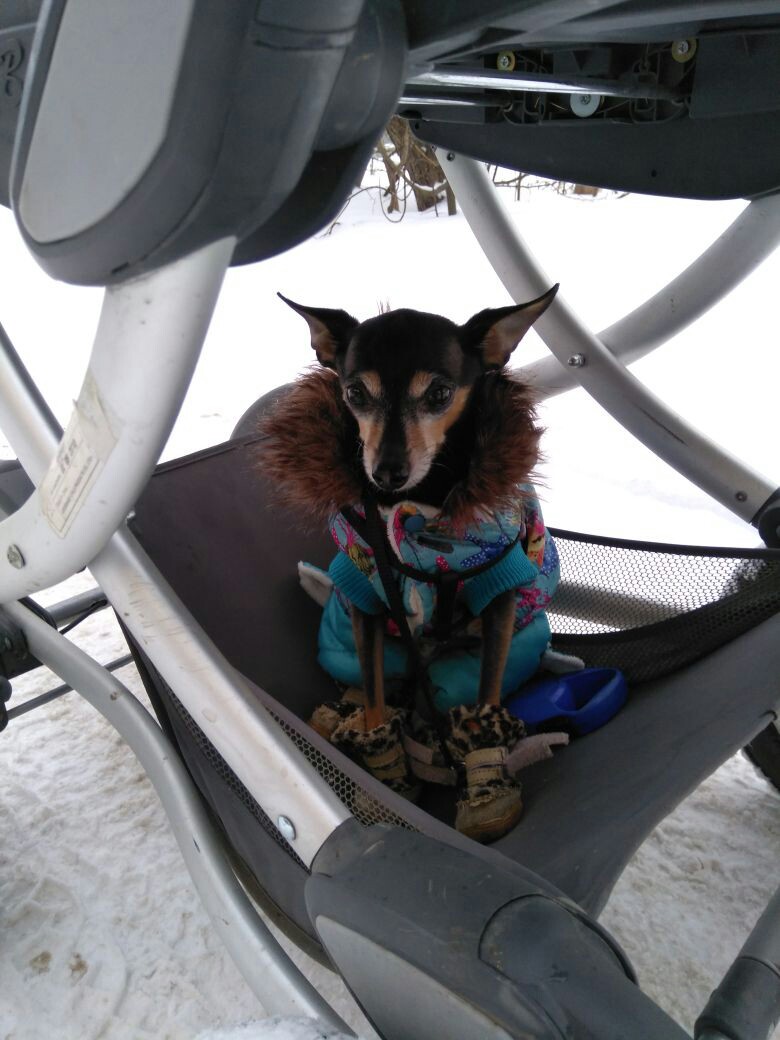 Далека до дому дорожка...