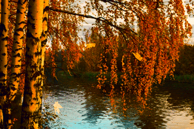 Романтическое настроение осени