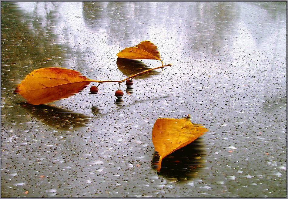 Духовность... Из Маргариты Метелецкой