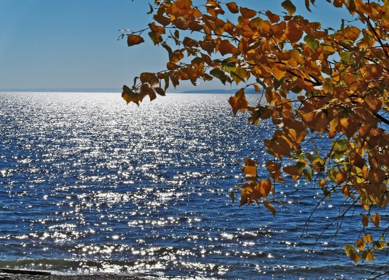 Осенняя тишь