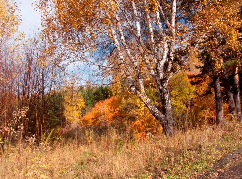 Бабье лето на бис