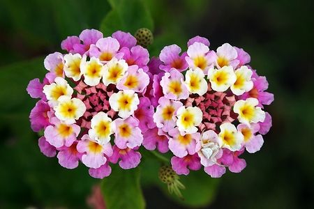 Господь никогда не спит