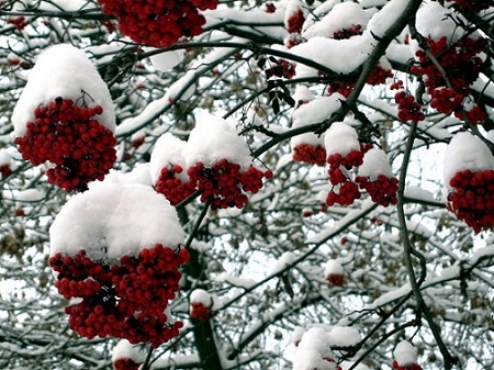 С первым снегом, город!