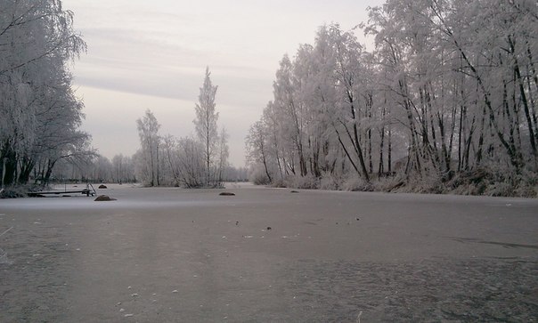 Ноябрь прекрасен тишиной