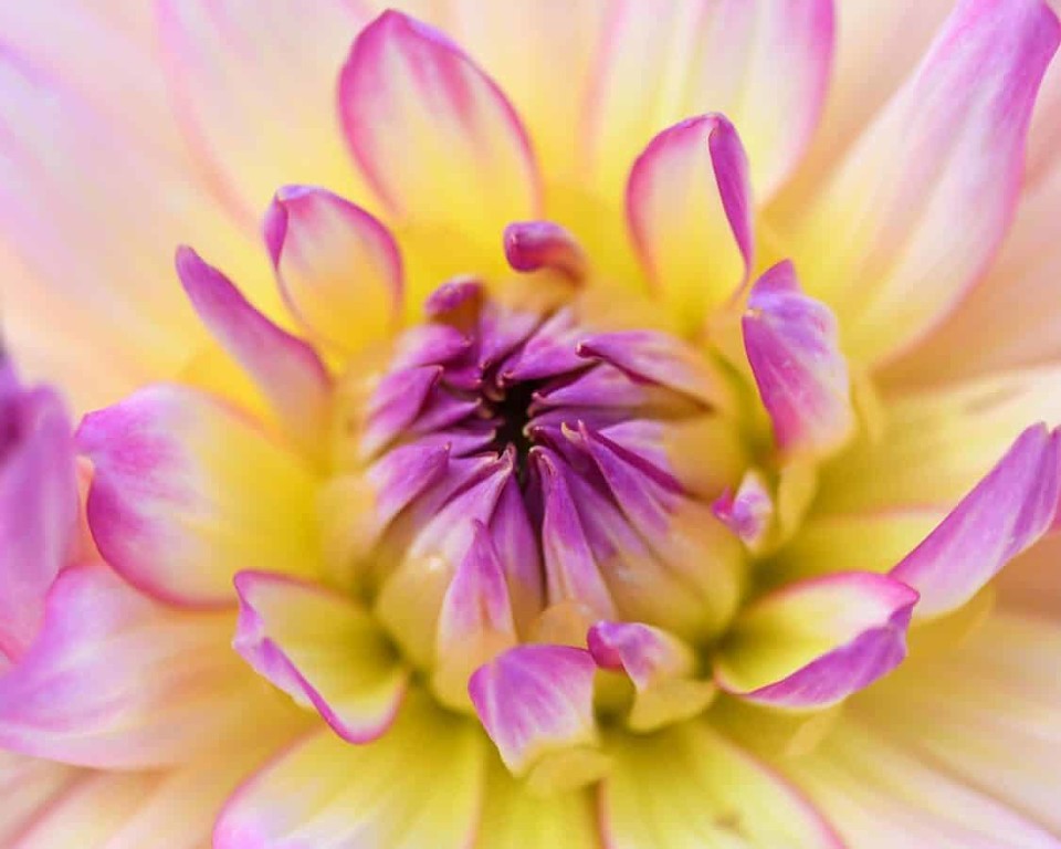 В сердце приходят новые рифмы