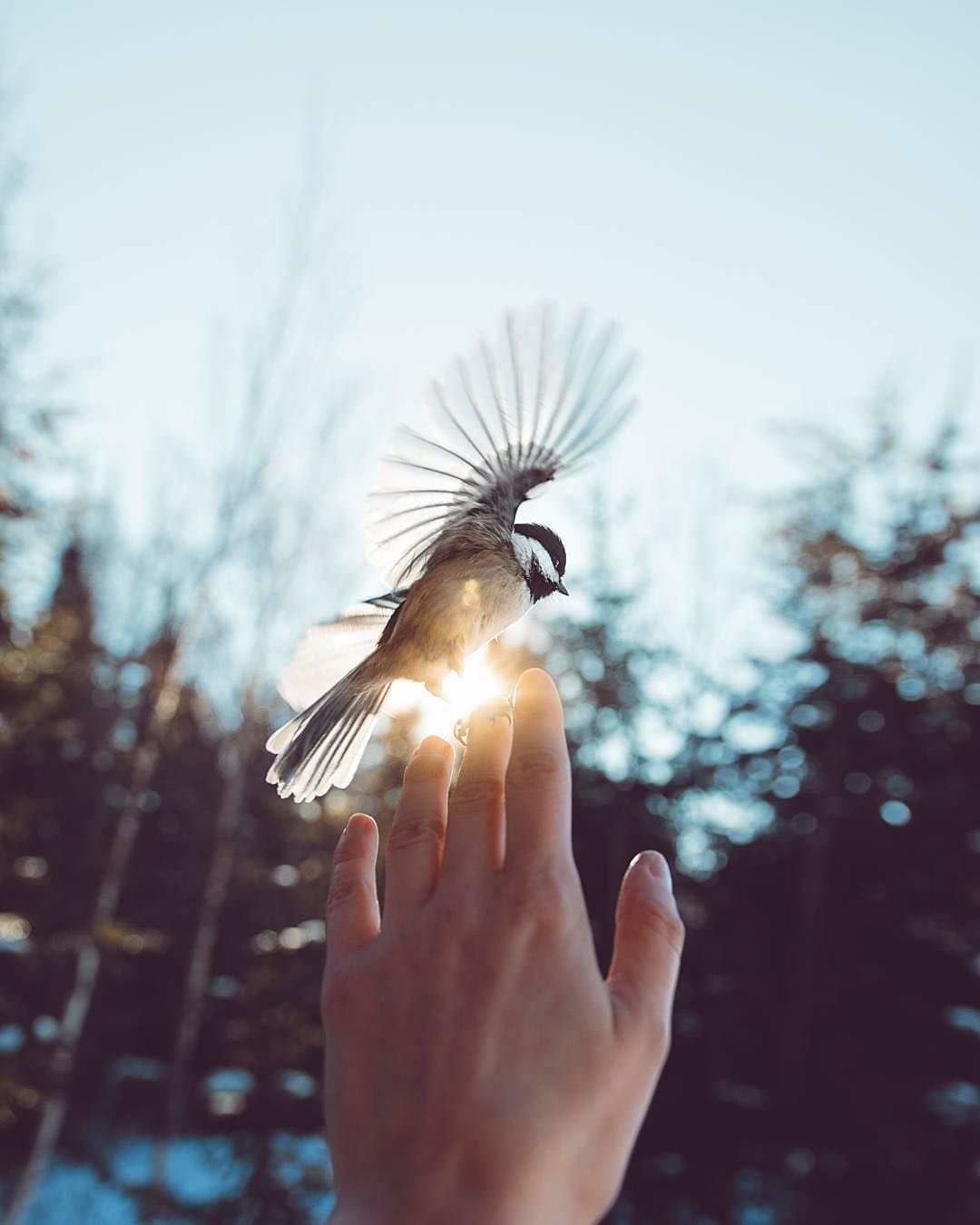 Заигрывая с жизнью, уж лучше, ей - не лгать!