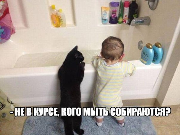 Исключение из правил