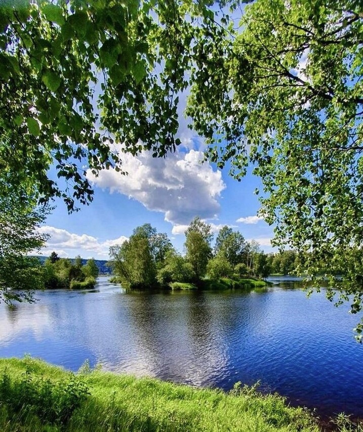 И пусть иностранцы, завидуют мне