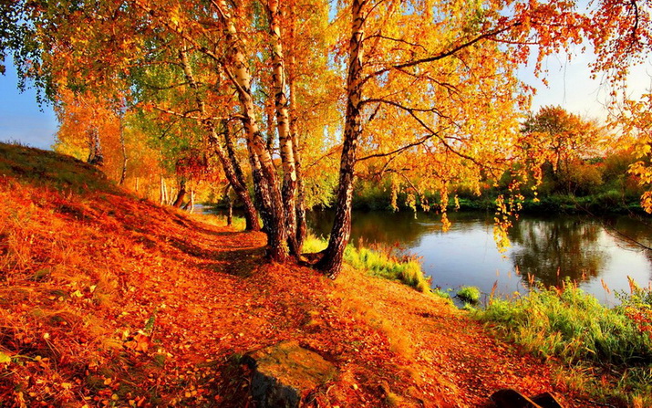 В золоте осенних дней