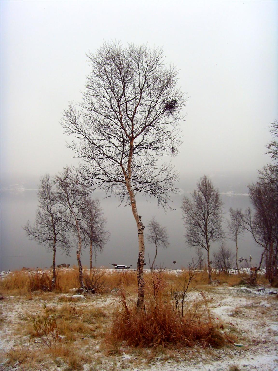 И снова об осени мысли...