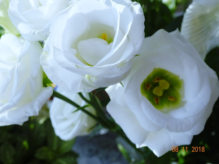 Держи фасон!