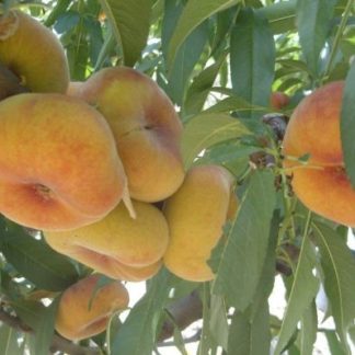 Крымская осень