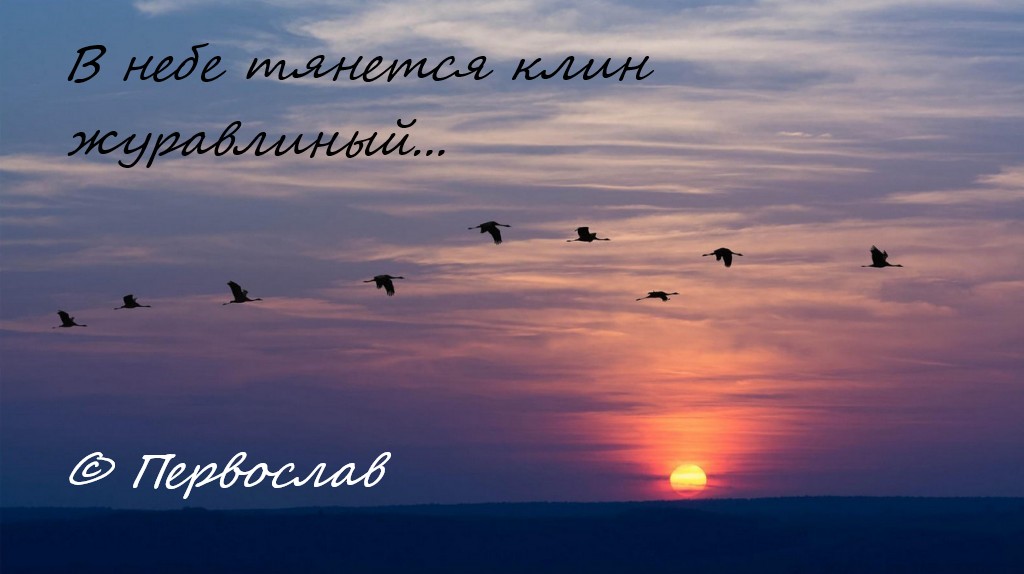 В небе тянется клин журавлиный (Первослав) / Стихи.ру