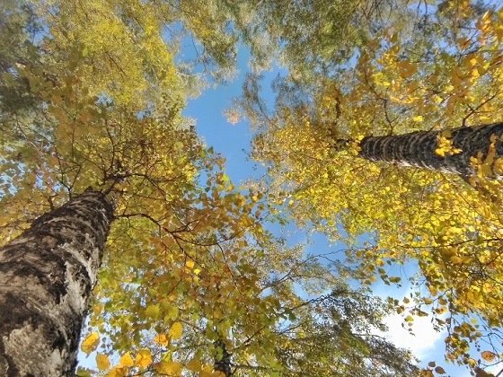 Бегство