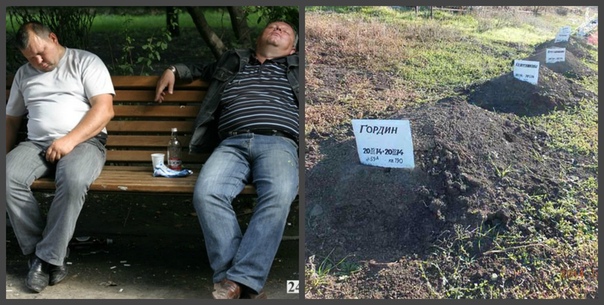 Свободная жизнь...