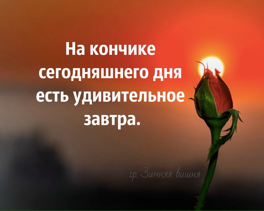 Так год за годом