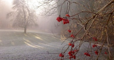 пий гарячу кров осенi