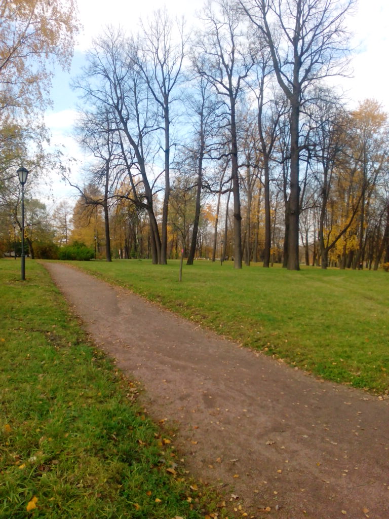 Парк. Октябрь