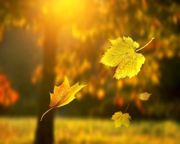 ЖИТЬ - ДА ЖИТЬ БЫ!