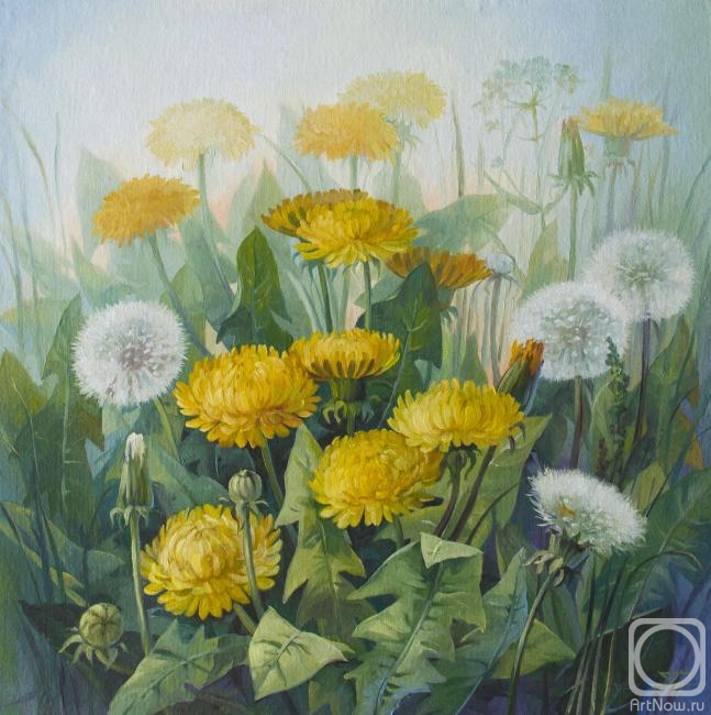 Одуванчиково море