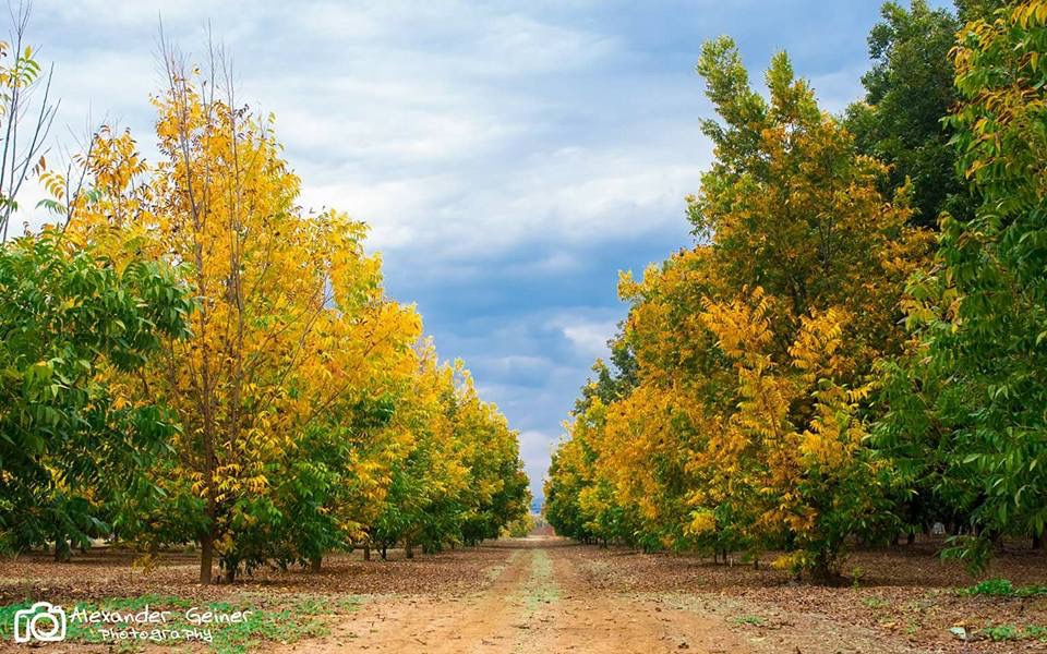 Осенняя хандра