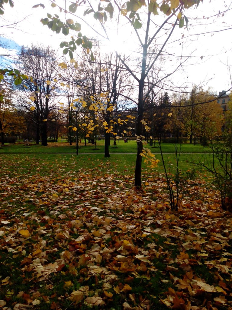 Прохожу октябрём