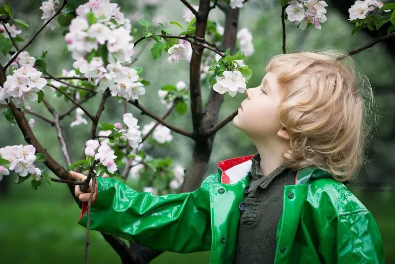 Молитва до рассвета