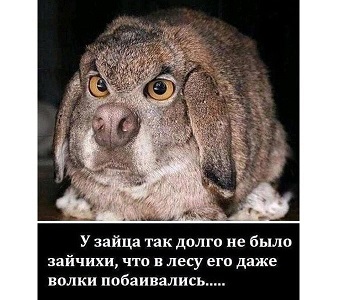 Про воздержание