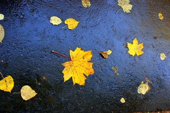 Осенние слёзы