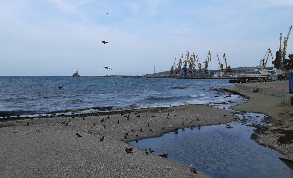 Дуплет у моря Чёрного