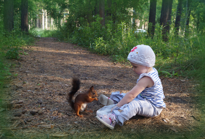 Сказочный лес