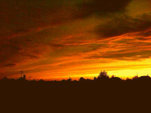 Голубые продрогшие дали