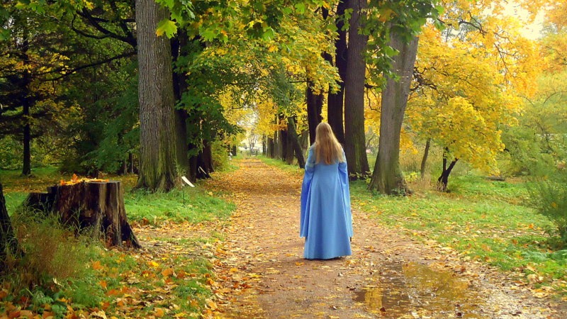 Соберу гербарий в букеты