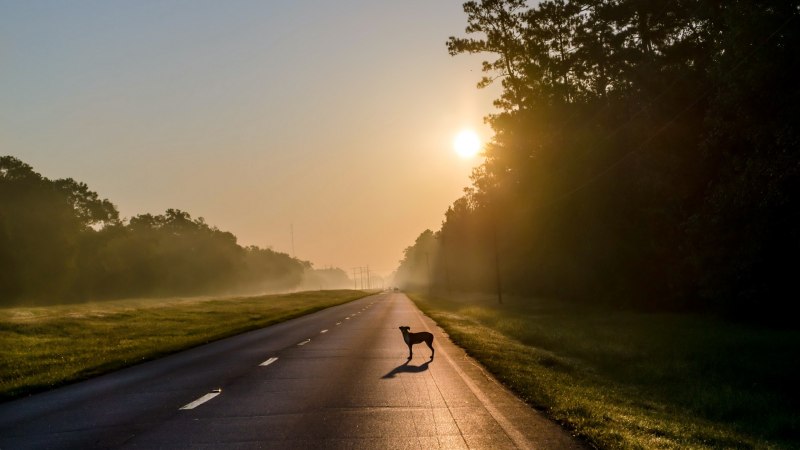 Когда исчезает дорога... из Юрия Лазирко