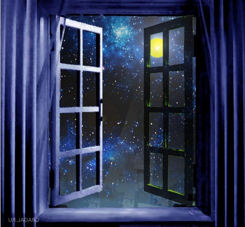 Ночь синяя птица