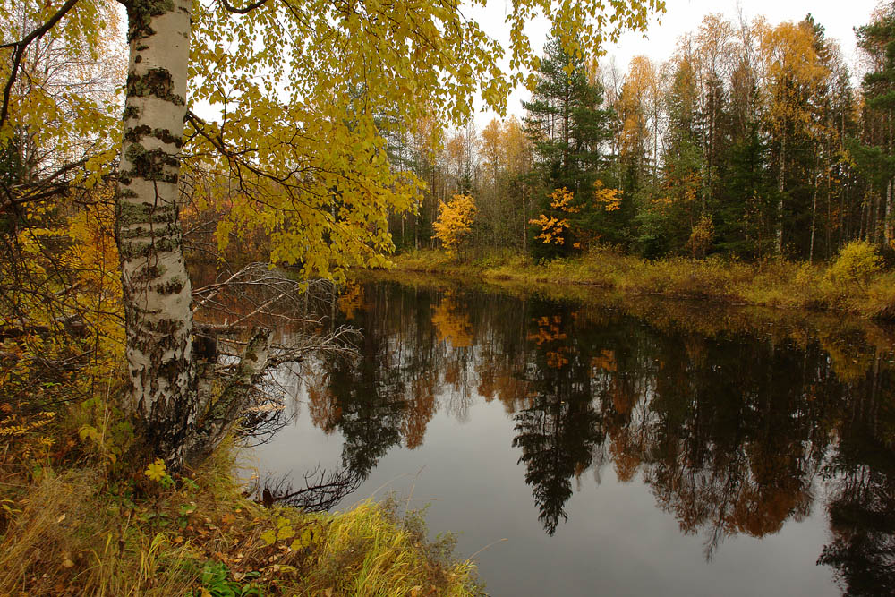 Осень у реки